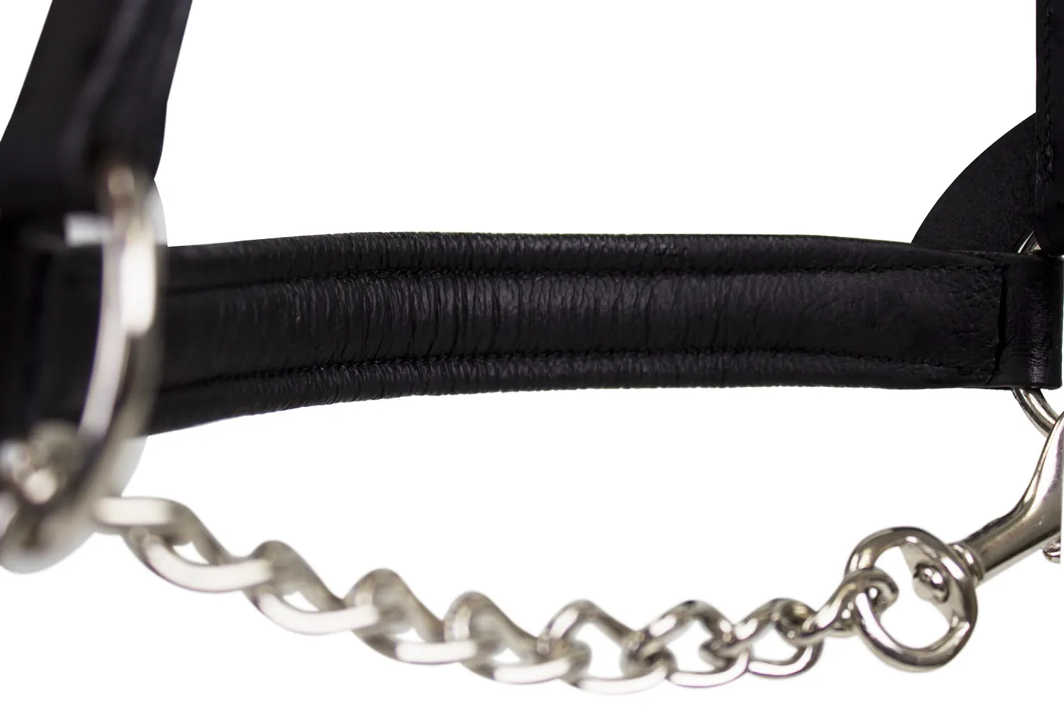 Premium Raised Padded Leather Cattle Show Halter with Chain Lead  - One Year Warranty