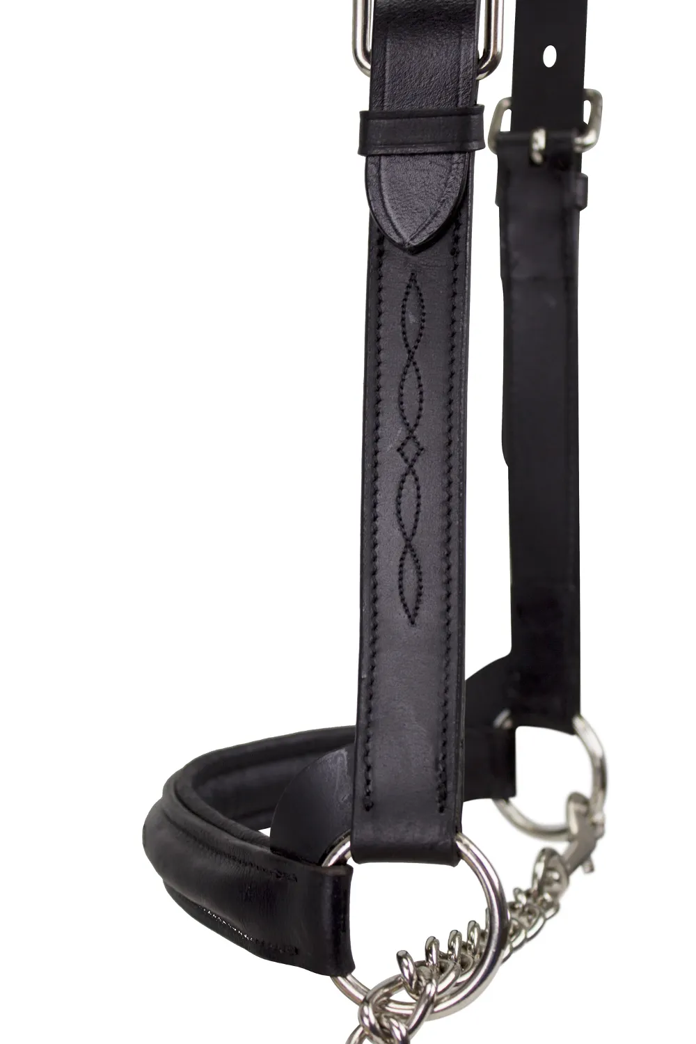 Premium Raised Padded Leather Cattle Show Halter with Chain Lead  - One Year Warranty