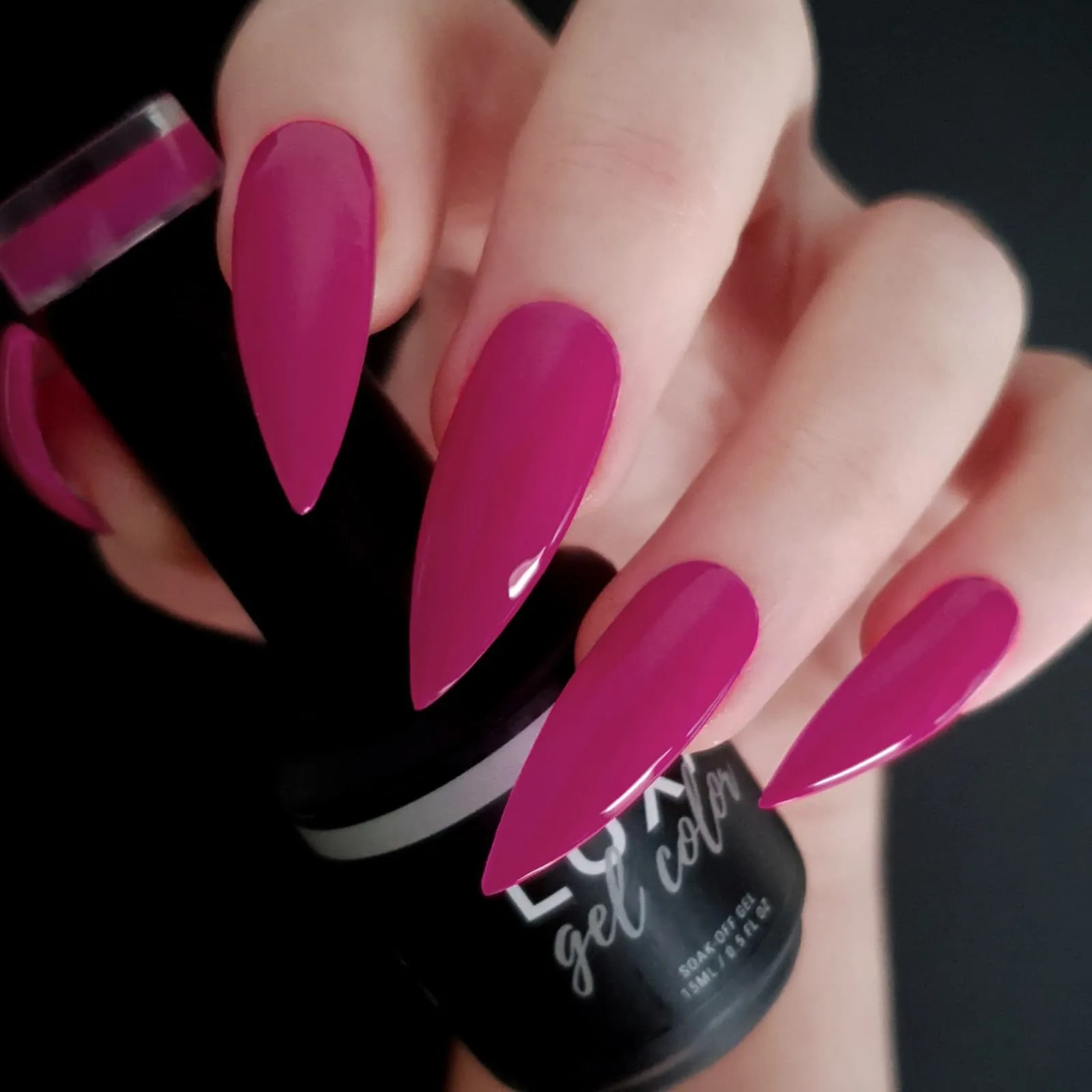 ROLLER REVIVAL COLLECTION - 6 pcs w/ Free Painted Swatch Sticks