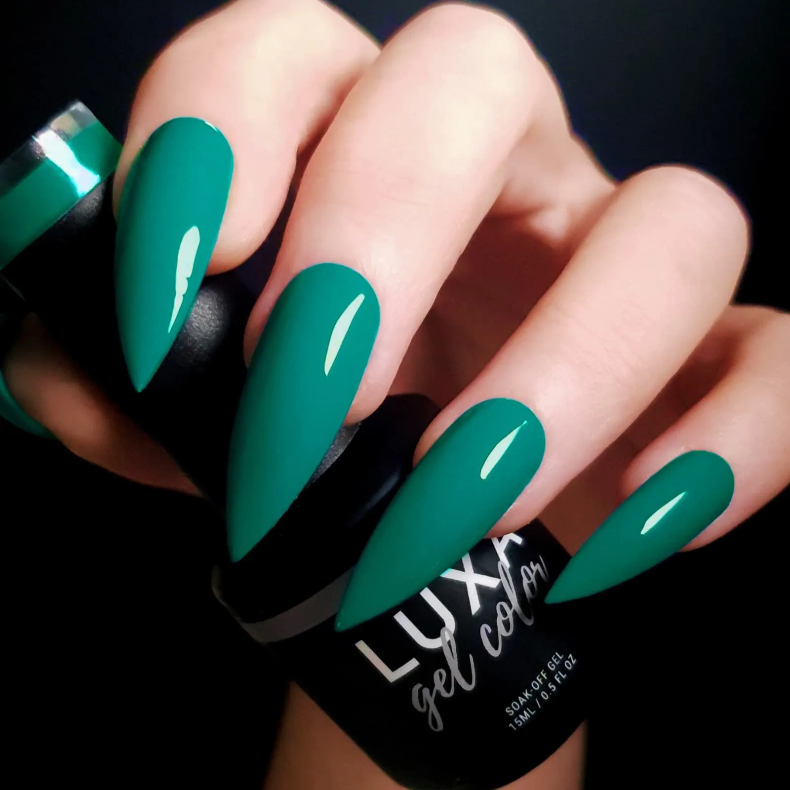 ROLLER REVIVAL COLLECTION - 6 pcs w/ Free Painted Swatch Sticks