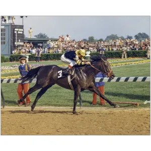 Seattle Slew at Kentucky Derby